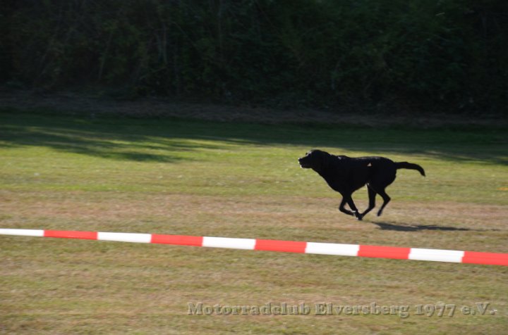 MCE Sommertreffen 2013 - 043.JPG